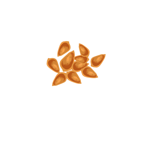 Flaxseed