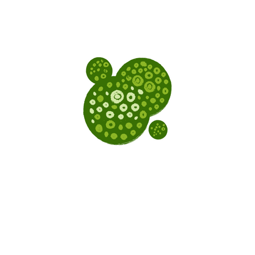 Marine microalgae