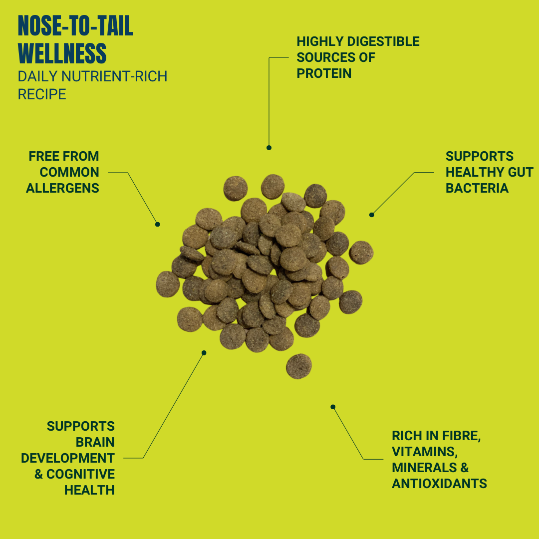 Nose-to-Tail Wellness: Daily Nutrient-Rich Recipe, photo 3
