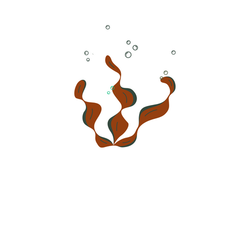 Kelp