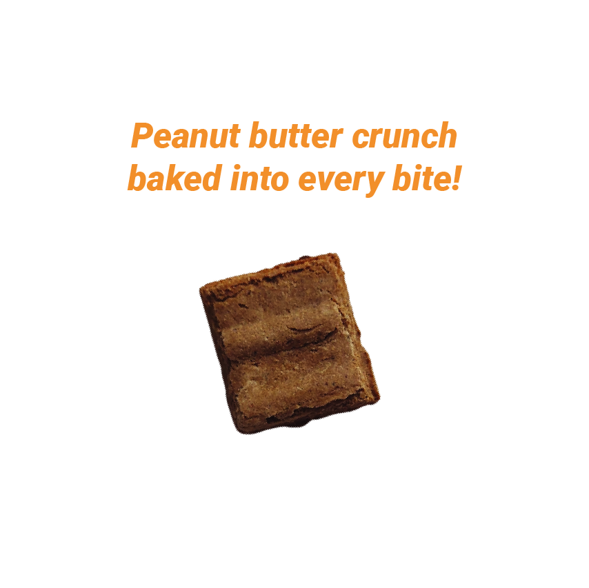 Omega Boost Hypoallergenic Protein, photo 4