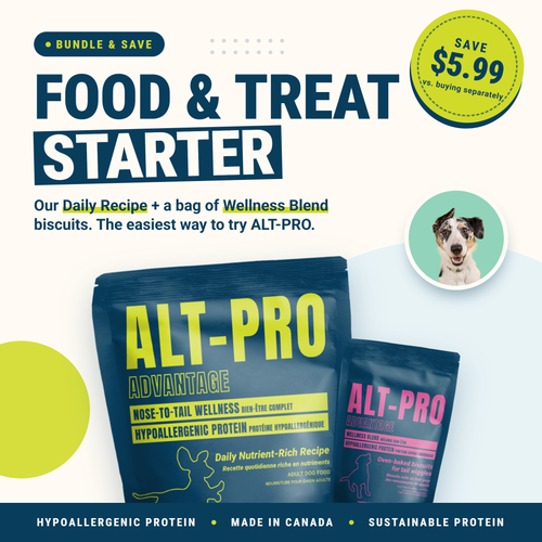 Food & Treat Starter bundle: Daily Recipe dog food and Wellness Blend biscuits, save $5.99